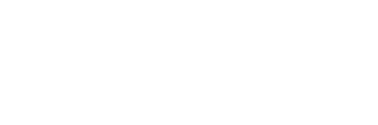 IRIS TECH INC logo